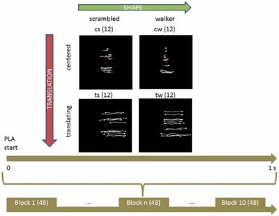 Natural Translating Locomotion Modulates Cortical Activity at Action Observation
